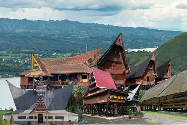 Toba Nauli